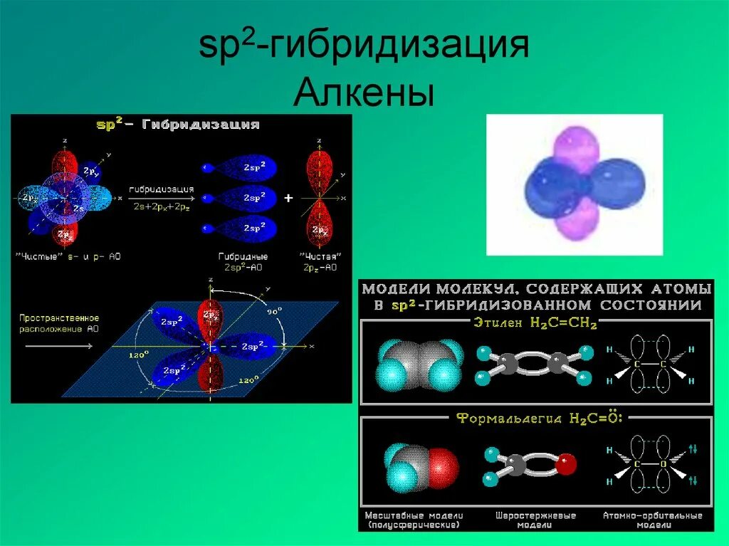 Sp гибридизация связи. Sp2- гибридизация в молекуле. Молекула с гибридизацией SP И sp2. Sp3 гибридизация алкенов. Полиэтилен гибридизация sp2.