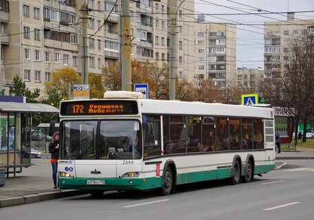 Маршрут 172 спб