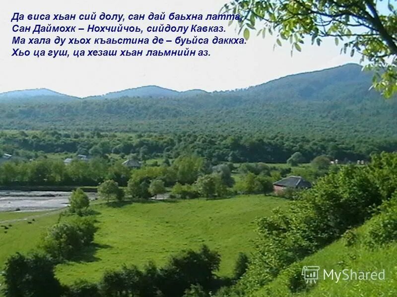 нохчийн шира 1адаташ. нохчийн маттахь. урок 95 нохчийн литература. урок 95 нохчийн литература. день чеченского языка.