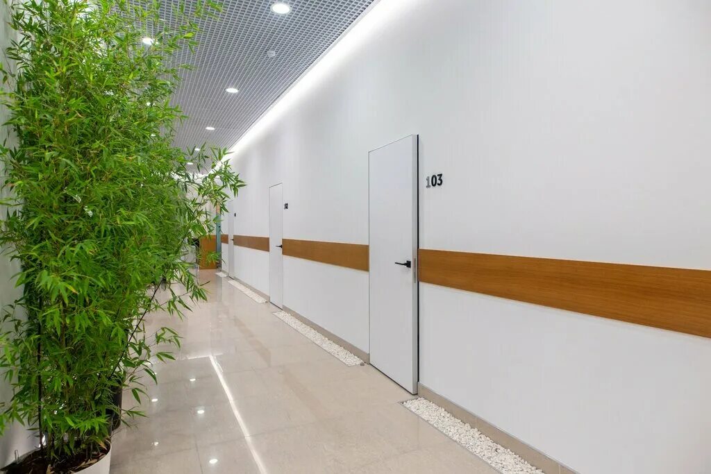 Bauer Сliniс, ветеринарная клиника в Красноярске - отзыв и оценка - lerkeno