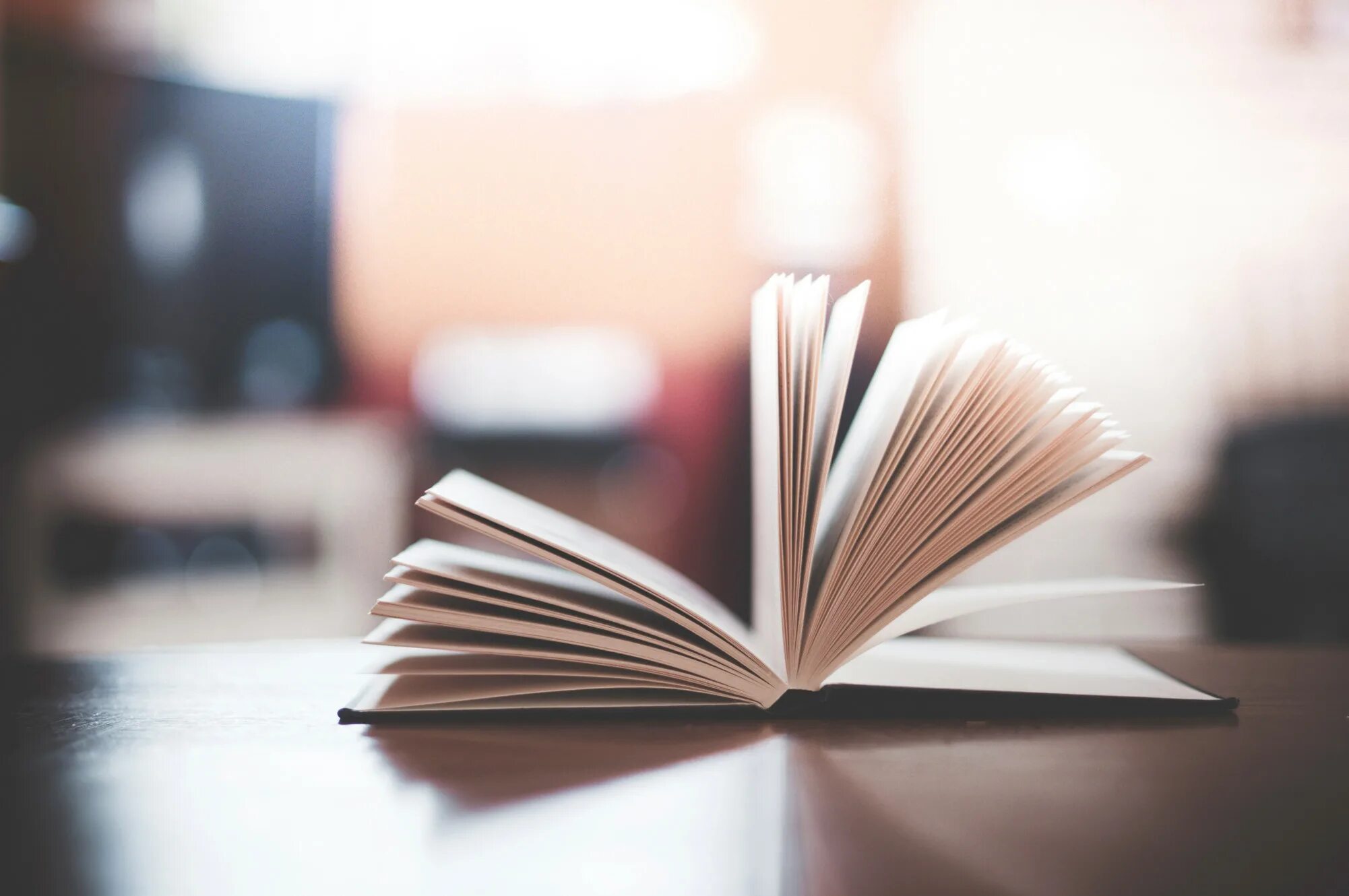 Why study literature
