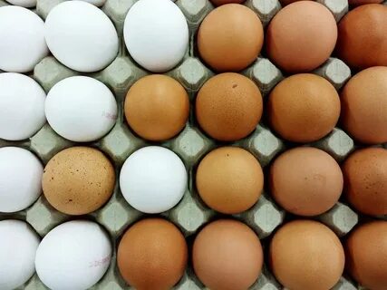 Egg astd
