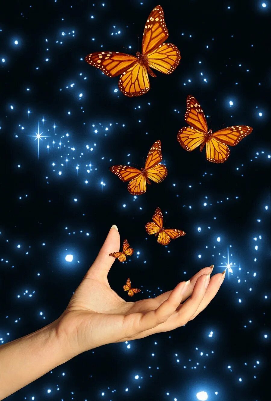 Бабочка на ладони. На руку бабочка. Волшебство бабочки. Вечер бабочки. Спящие ночью бабочки