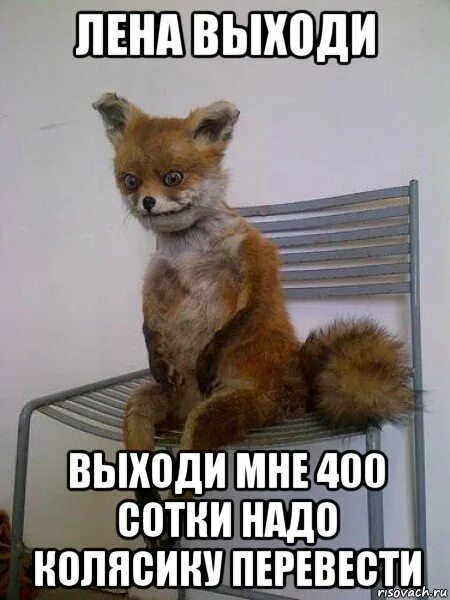 Выход мем. Мем я уже выхожу. Выходи мемы. Видео выходи сам выходи. Ты выйдешь за меня.