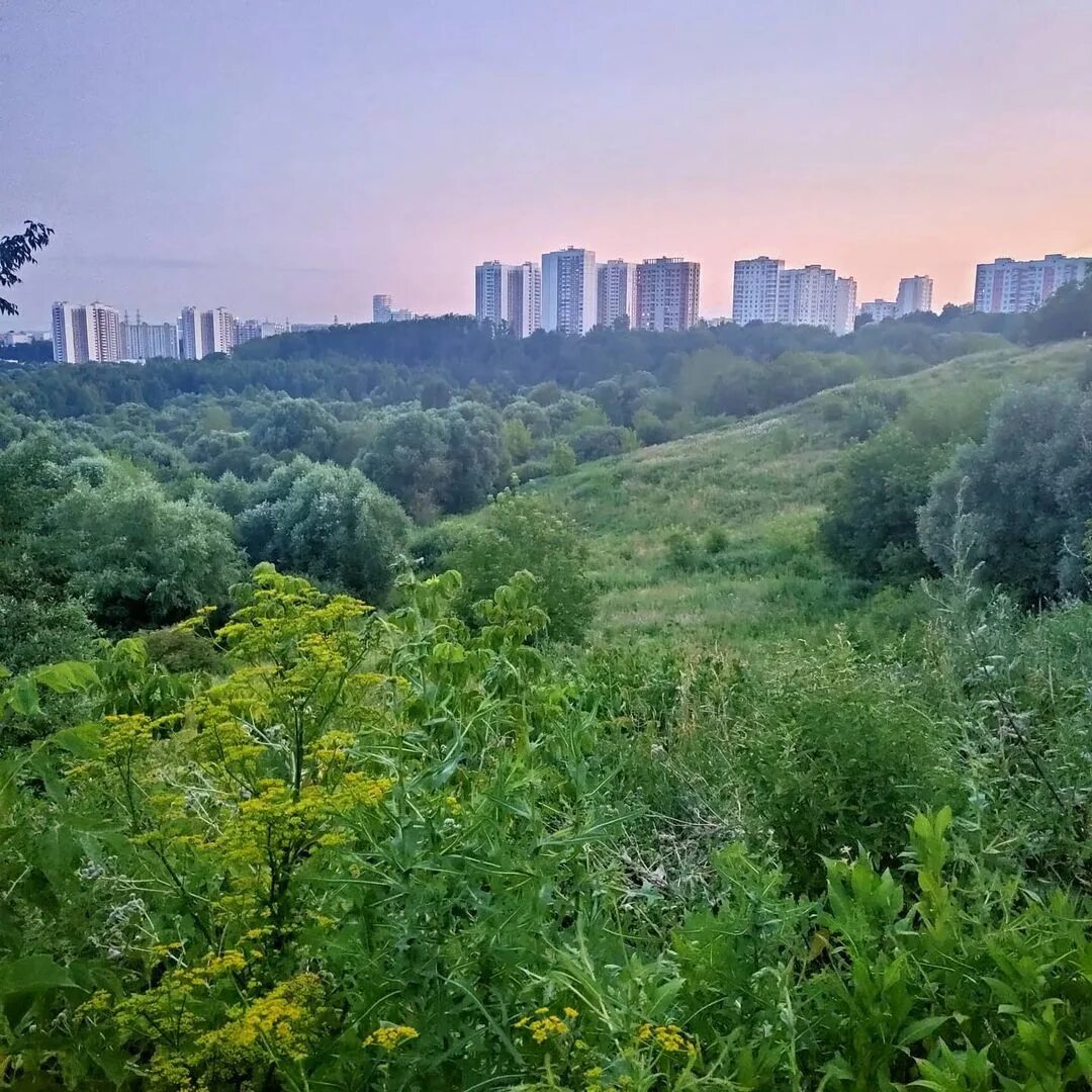 Южное тушино купить. Район Южное Тушино. Северное Тушино Сходненский ковш. Северное Тушино Москва. Район Тушино Москва.