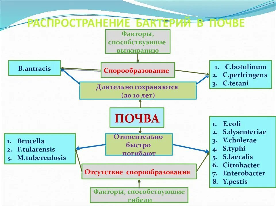 Распространение микроорганизмов в окружающей среде схема. Экология микроорганизмов таблица. Экология микроорганизмов схема. Распространение микроорганизмов в почве.