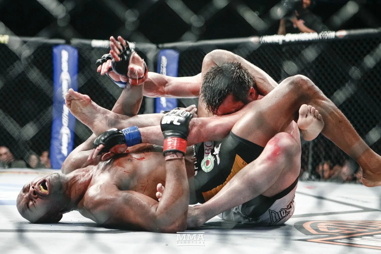 Ufc без правил