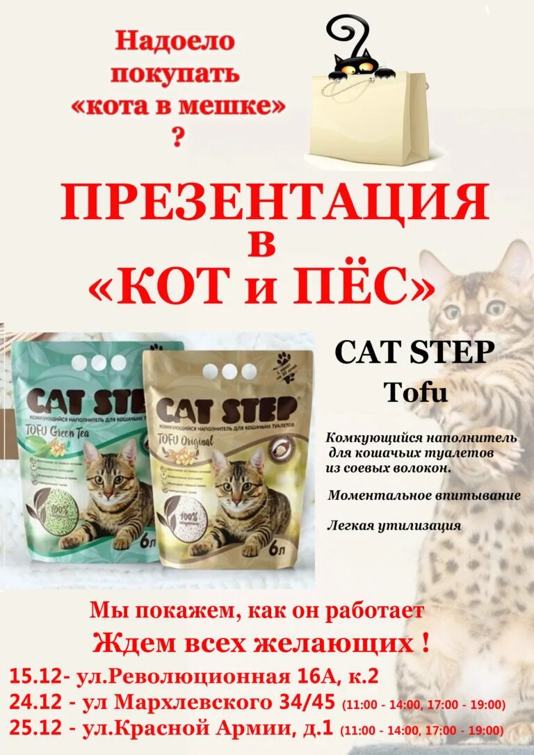 кот и пес ижевск. кот и пес ижевск. акция кот и пес ижевск. приют кот и пёс ижевск. кот и пес ижевск.