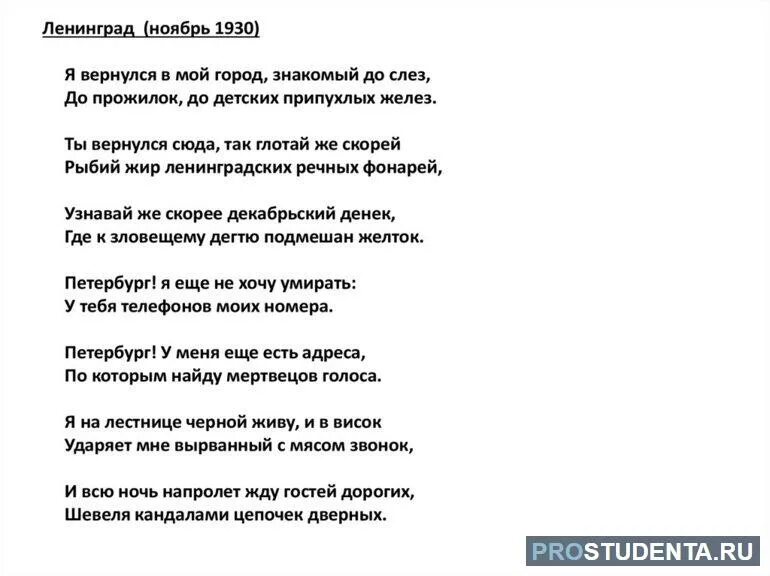 Стих про Ленинград. Смешной стишок про Ленинград. Гитович Ленинград стихотворение.