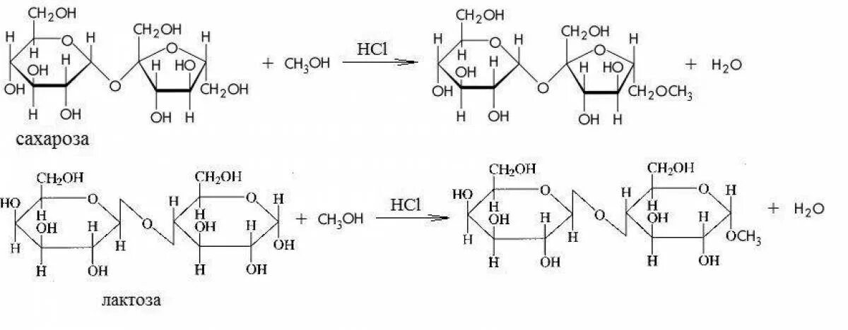 Ch3oh hcl. Алкилирование сахарозы. Сахароза и ch3i. Мальтоза ch3oh. Мальтоза ch3i NAOH.