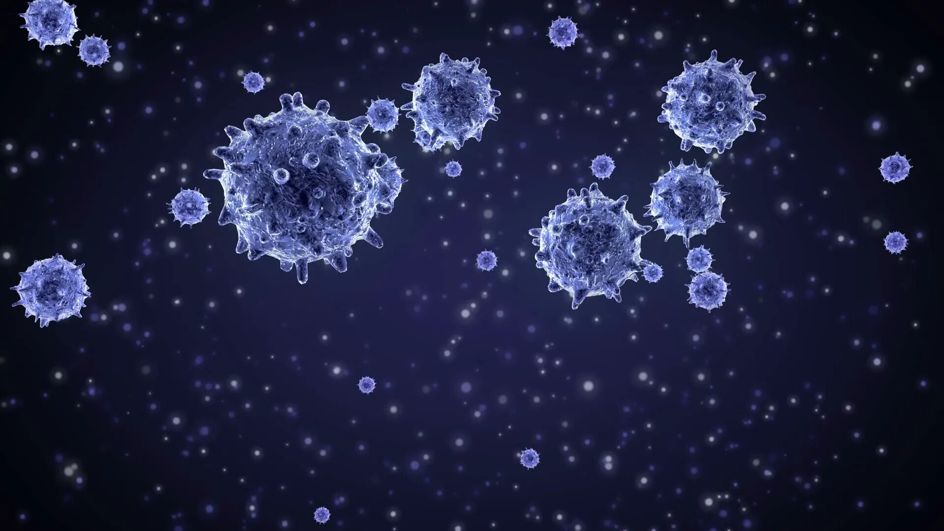 Клетки иммунной системы. Клетки иммунной памяти гистология. Клетка иммунитета снимок. Лимфоциты фото. Собственные иммунные клетки
