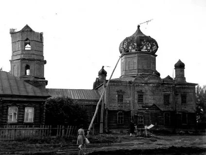 Береговые сыреси