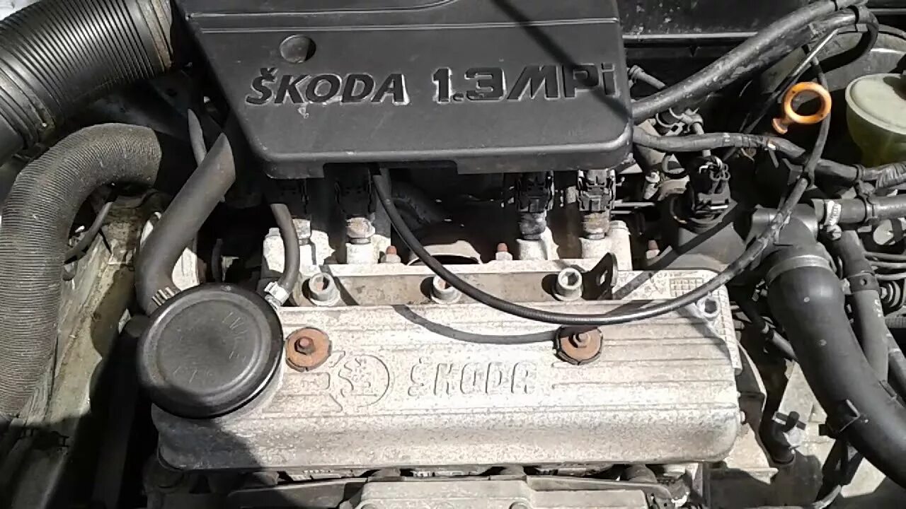 Шкода двигатель 1.3. Двигатель Skoda Felicia 1.3 инжектор.