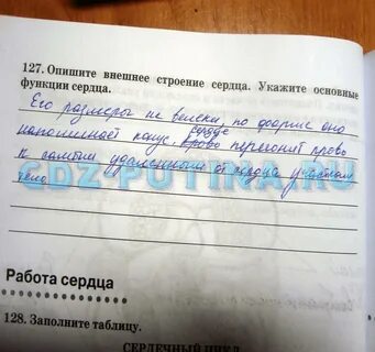 Биология 8 класс стр 43