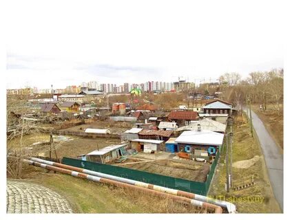 Береговой тюмень
