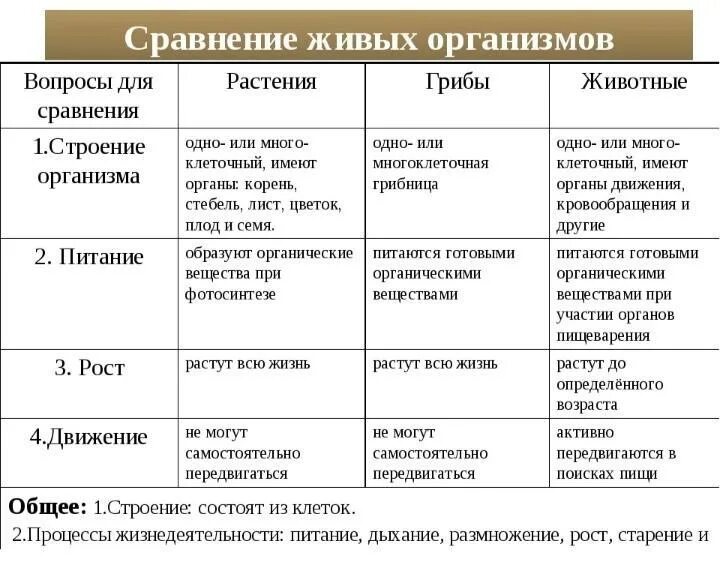 Различие царств. Таблица по биологии 7 класс сравнение классов растений. Сравнение грибов растений и животных. Таблица по биологии 7 класс характеристика животных. Строение организма животных 5 класс биология таблица.