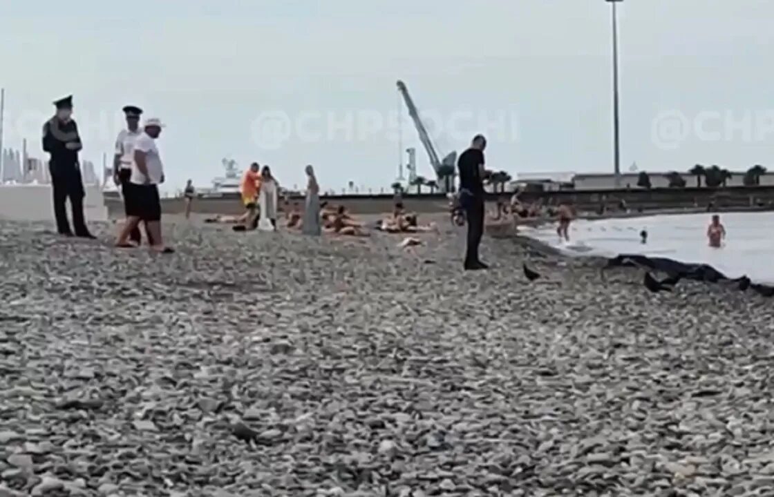 В сочи унесло в море машину. Двух подростков унесло в море в сочи. Девушку унесло в море сочи фото трупа. Девушку унесло в море сочи фото трупа. Девушку унесло в море сочи фото трупа.