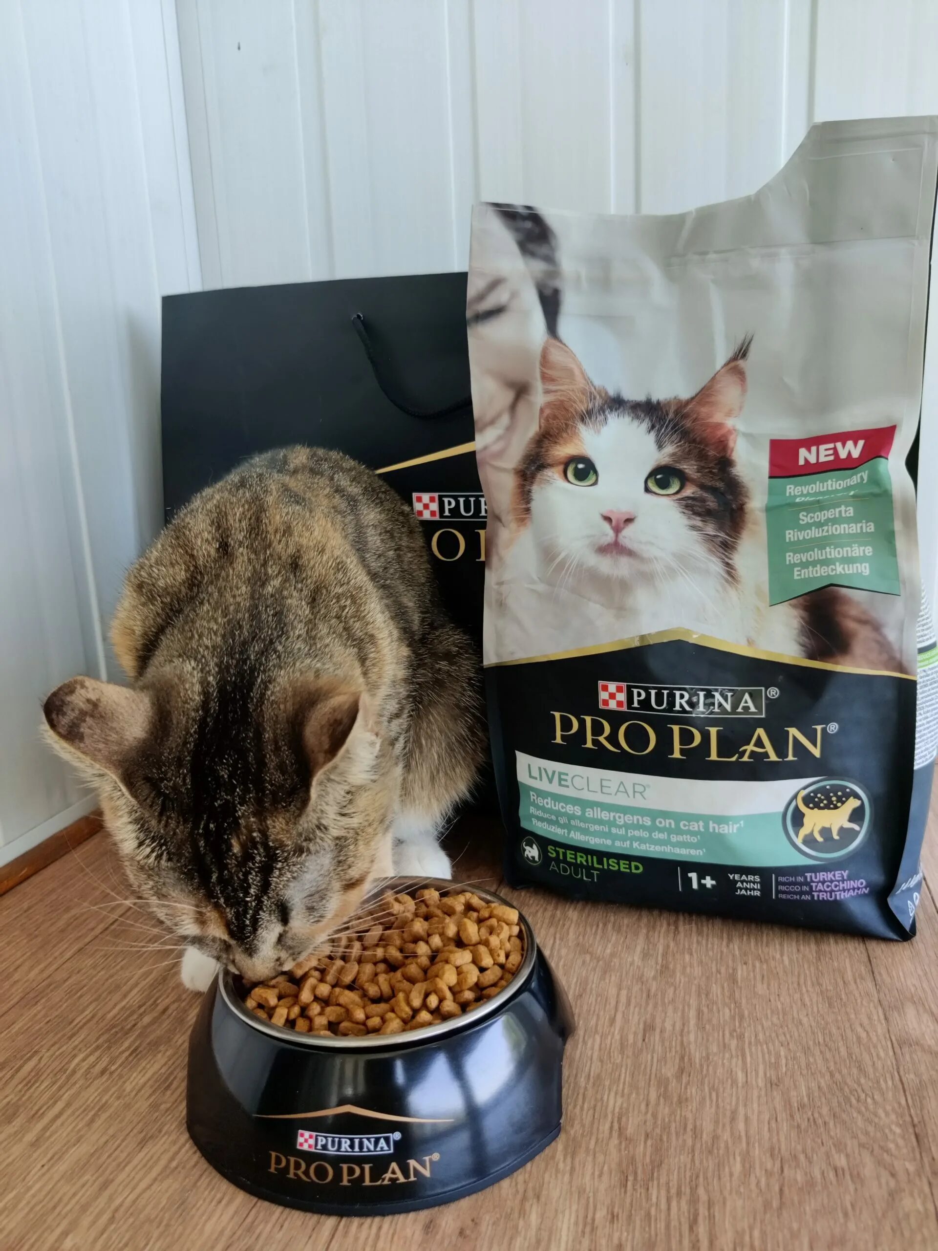 Корм Проплан Live Clear. Purina Pro Plan Live Clear. Pro Plan Life Clear корм для кошек. Проплан Live Clear для кошек. Pro plan live clear пропал