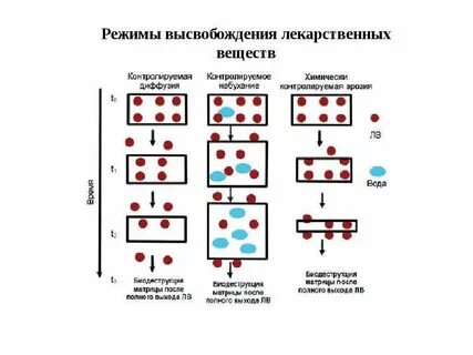 Виды транспорта лекарственных веществ