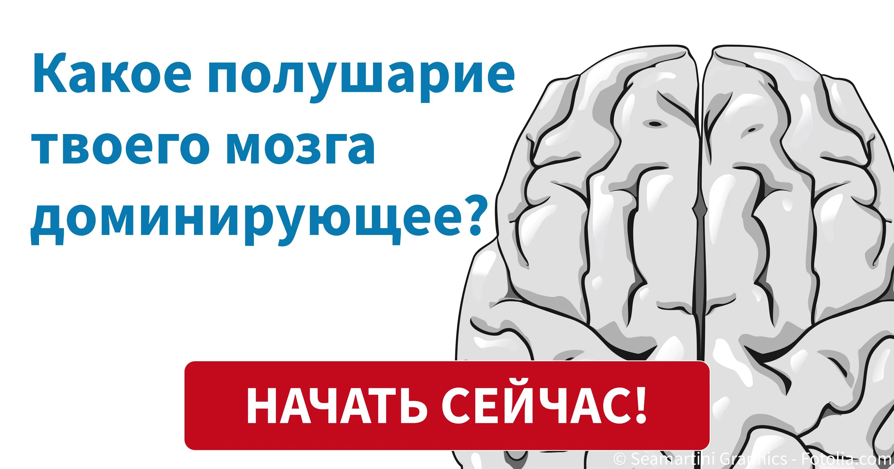 Полушария мозга. Доминантные полушария мозга. Доминирование полушарий мозга. Изучение доминирующего полушария головного мозга. Тест головного полушария