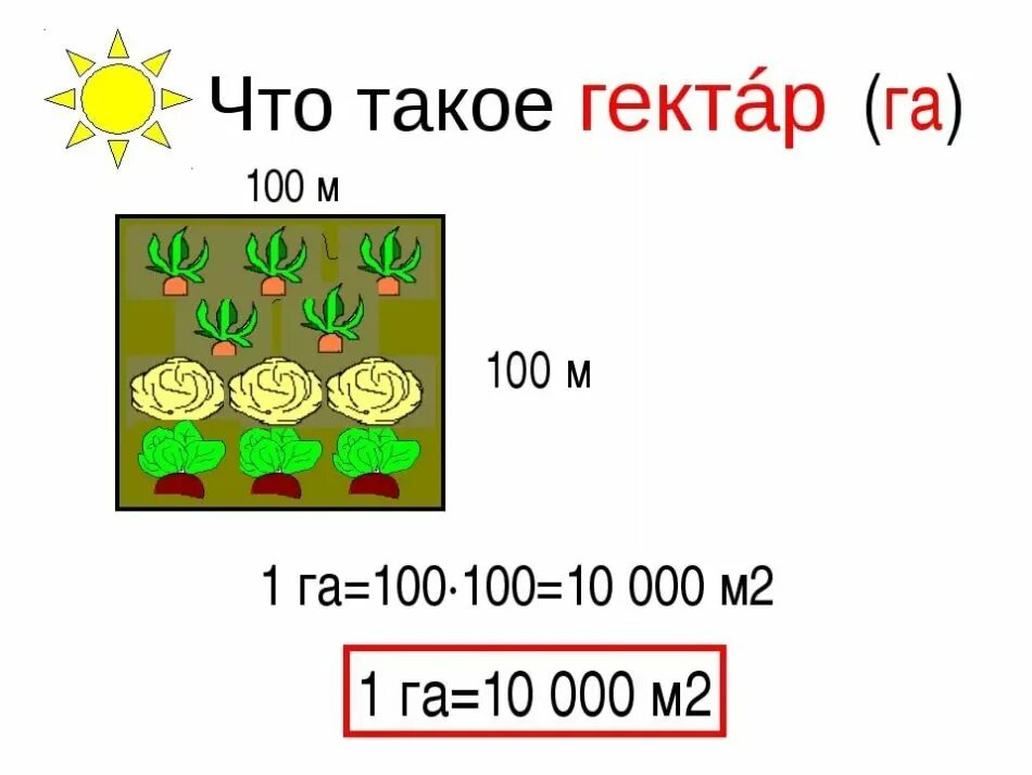 Гектар. Единицы измерения площади земельных участков. Сколько квадратов в 1 га. 1 Гектар. Ары это сотки