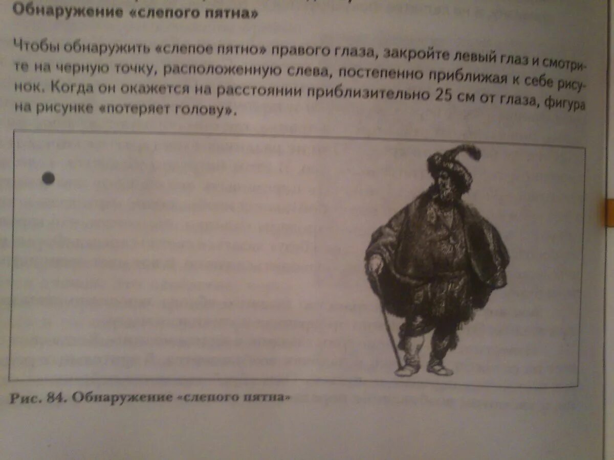 Лабораторная работа обнаружение слепого пятна. Обнаружение слепого пятна. обнаружение слепого пятна практическая работа 8 класс по биологии.