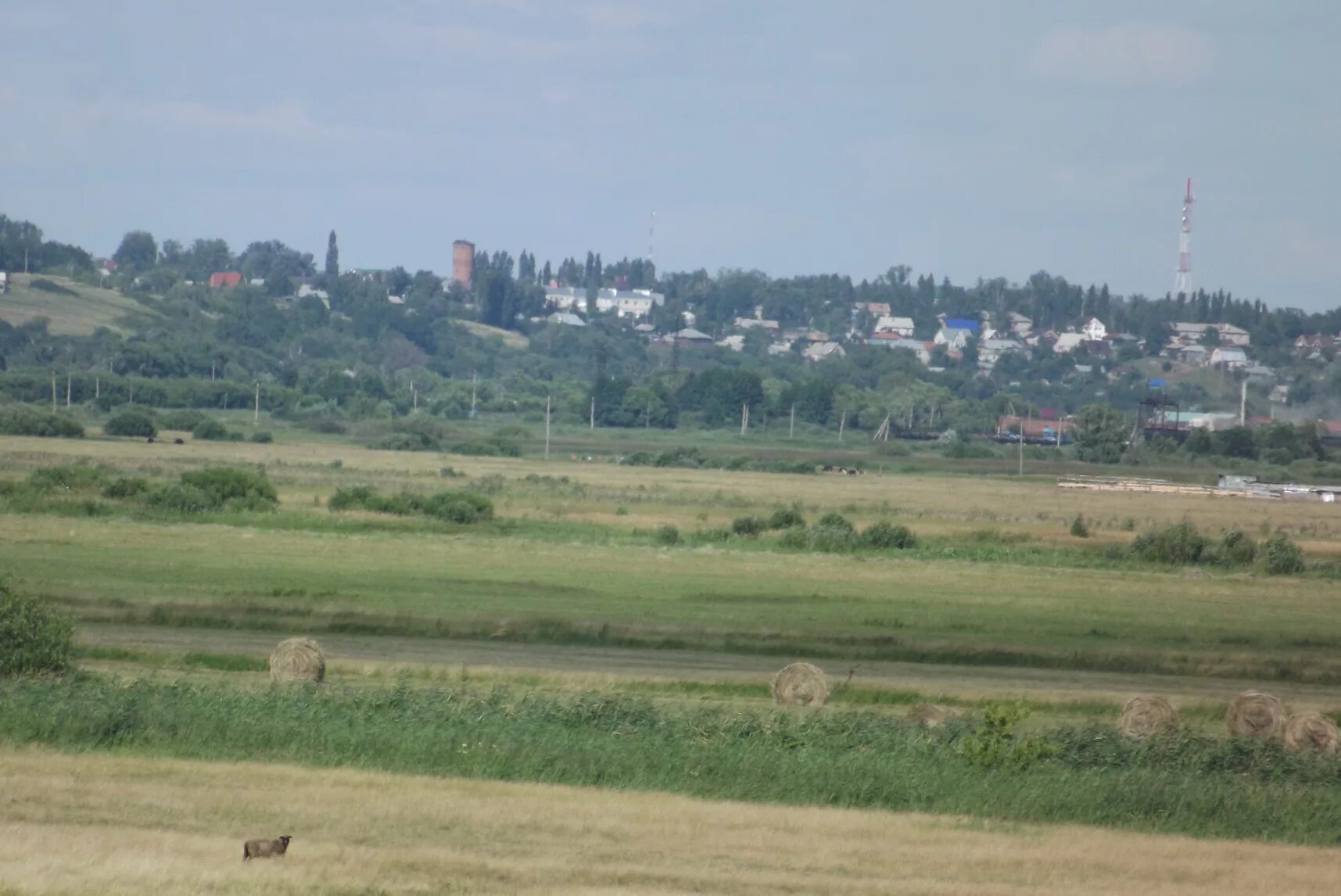 Погода в калаисе. Калаис Кирсановский район. Кирсанов Молоканщина. Село Шиновка Кирсановский район.