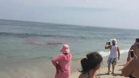 Видео атаки на пляж
