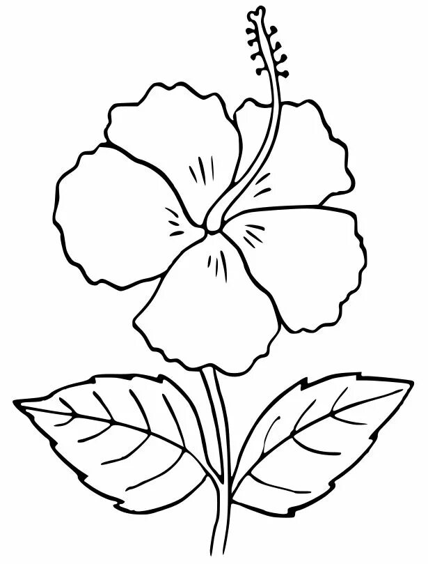 Outline org