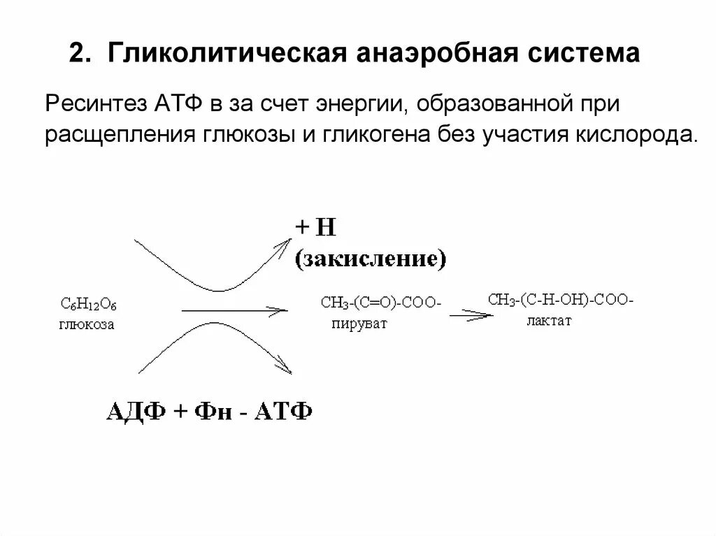 Анаэробный ресинтез атф. Гликолитическая система АТФ. Гликолитический ресинтез АТФ упражнения. Аэробный и анаэробный Синтез АТФ. Гликолиз для ресинтеза АТФ.