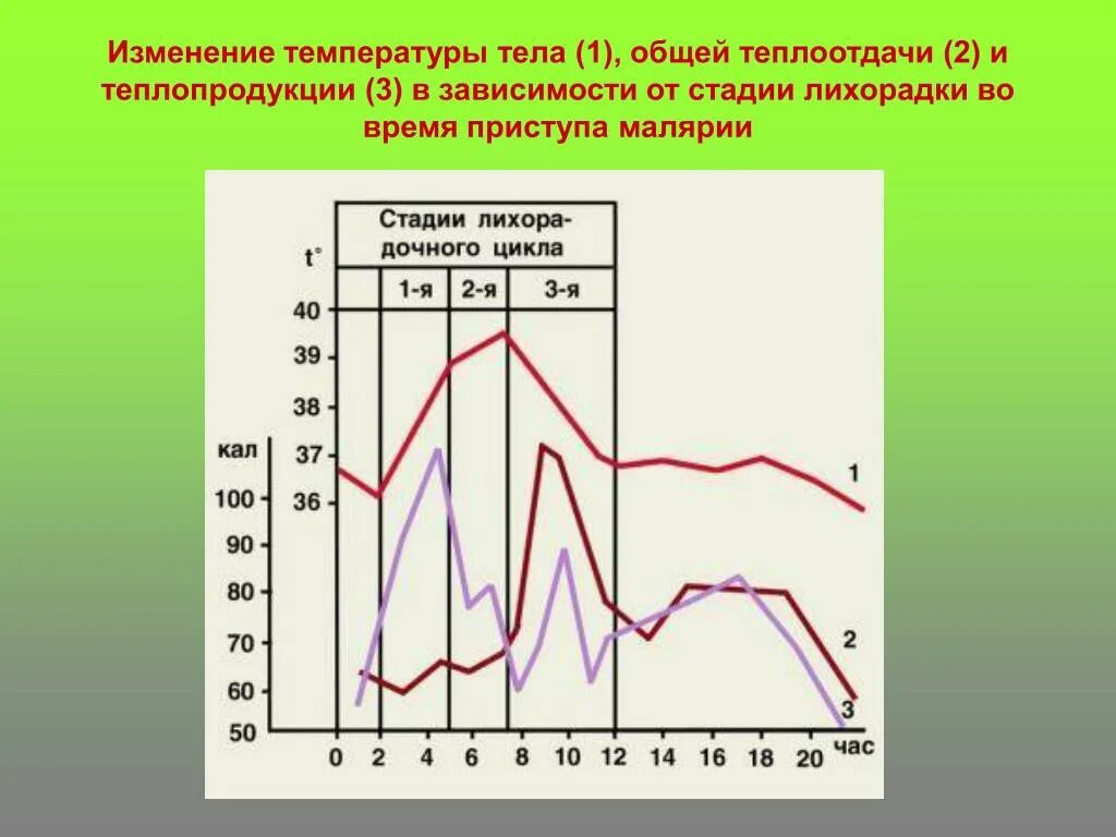 Сильные колебания температуры