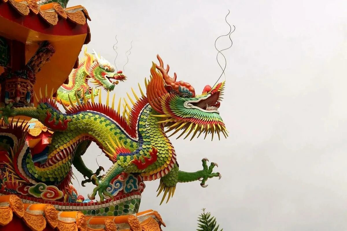 Храм дракона в Китае. Фуцанлун дракон. Китайский дракон Тяньлун. Китайский зеленый дракон 2024. Русский дракон китайский дракон