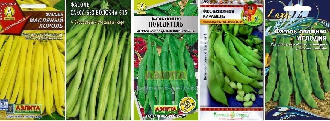 Фасоль лучшие сорта для открытого грунта. Фасоль стручковая низкорослая сорта. спаржевая фасоль семена. фасоль туршевая сорта. фасоль стручковая длинная сорта.