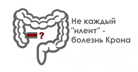Илеит