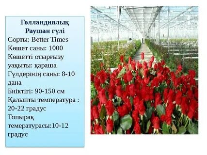 Жасырын камера клизмасы