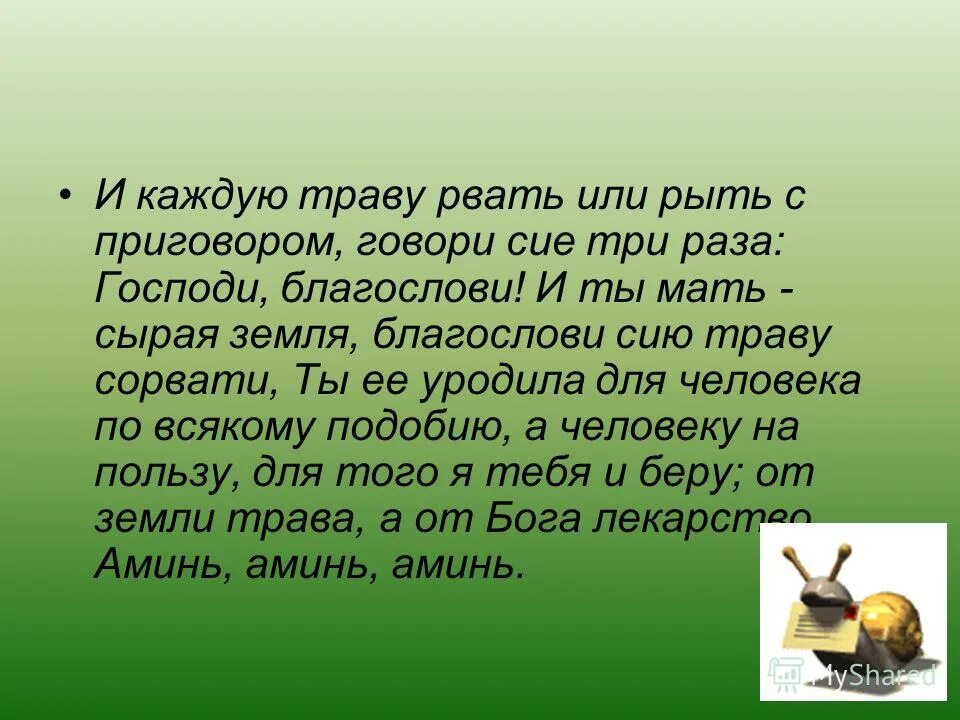 любишь каждую травинку