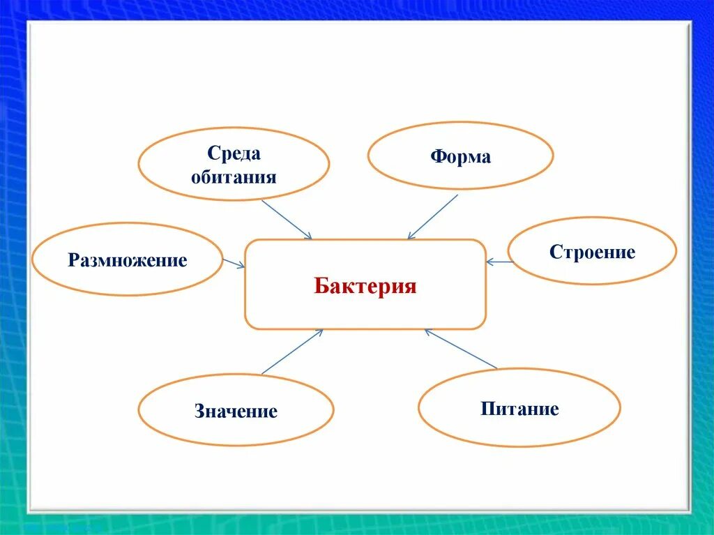 Составьте схему по теме урока. Кластер по биологии 5 класс значение бактерий. среды обитания бактерий схема. кластер по биологии бактериям 5 класс по теме. кластер по теме бактерии.