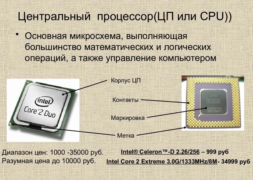 Процессор состоит. Из чего состоит процессо. Составляющие процессора. Проверка цп