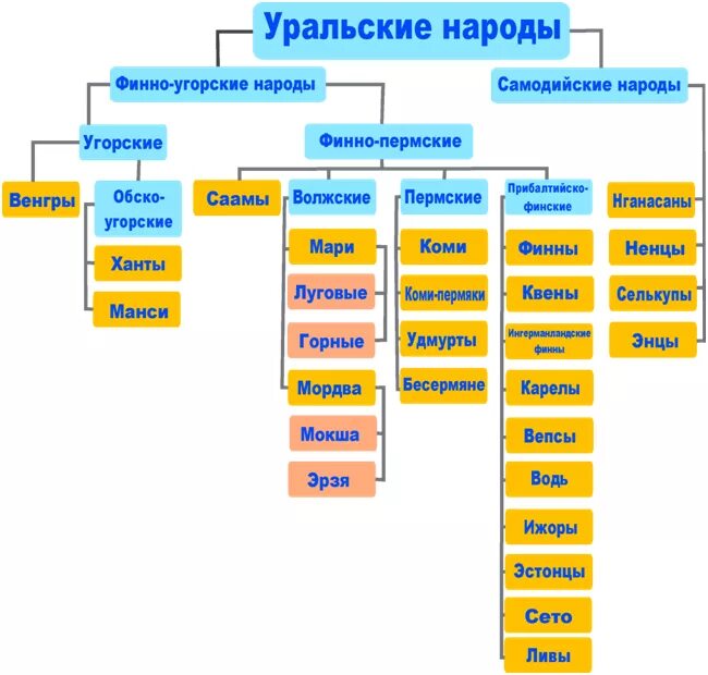 Какие народы относятся к угорской группе. Уральская семья финно-угорская группа. родословное дерево финно угорских народов. финно-угорская языковая семья народы. финно-угорская языковая группа народы.