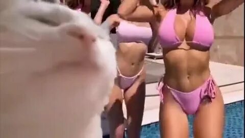 Видео подборки женская