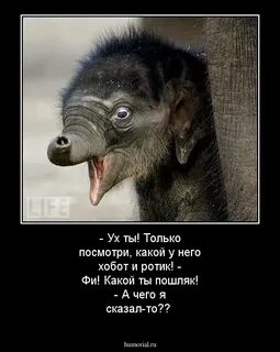 Ах не смотрите на меня
