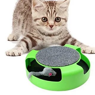 Интерактивные игрушки для кошек