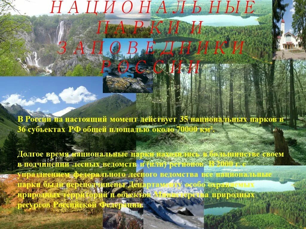 Проект заповедники россии 4 класс. Сведения о заповедниках и национальных парках России. Национальный парк России презентация. Примеры примеры национальных парков.