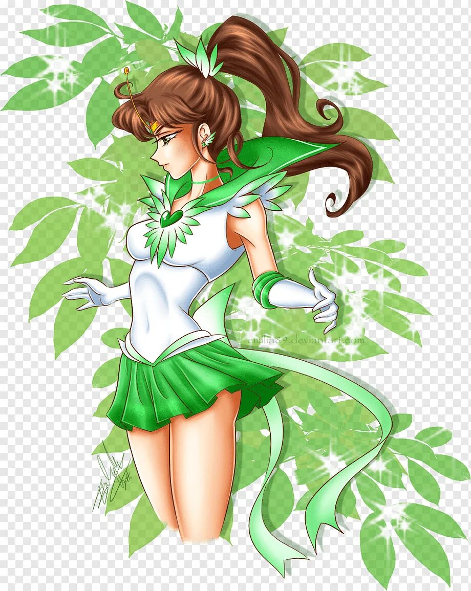 Sailor jupiter. Сейлор Юпитер. Вечная Сейлор Юпитер. Сейлор Юпитер в полный рост. Sailor Jupiter полный рост.