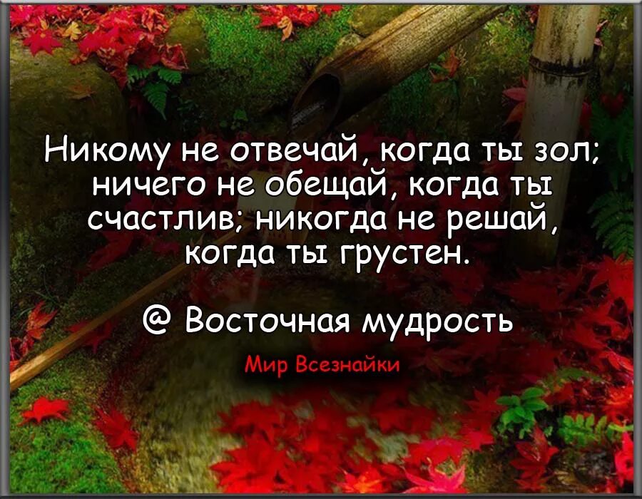 Высказывания ни. Никому ничего не обещай когда ты счастлив. Ничего не обещай когда ты счастлив цитаты. Цитата никогда не. Никому не отвечай когда ты зол.