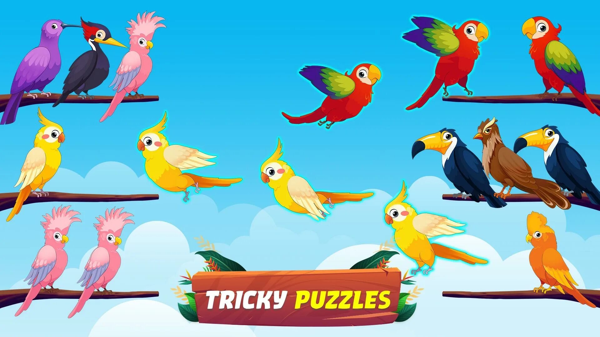 Bird sort puzzle. Bird sort puzzle