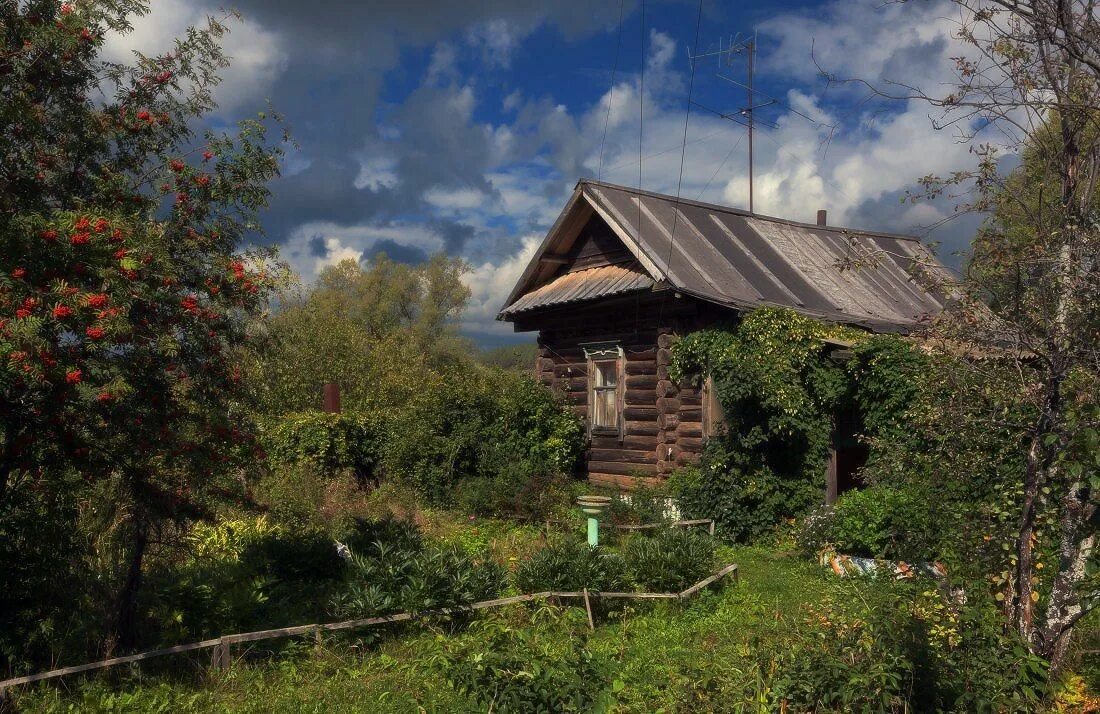 Городская в деревне 2. Двор в деревне. Дом в деревне. Сельский двор. Деревья во дворе.