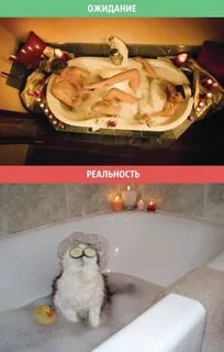 Пойду принимать ванну