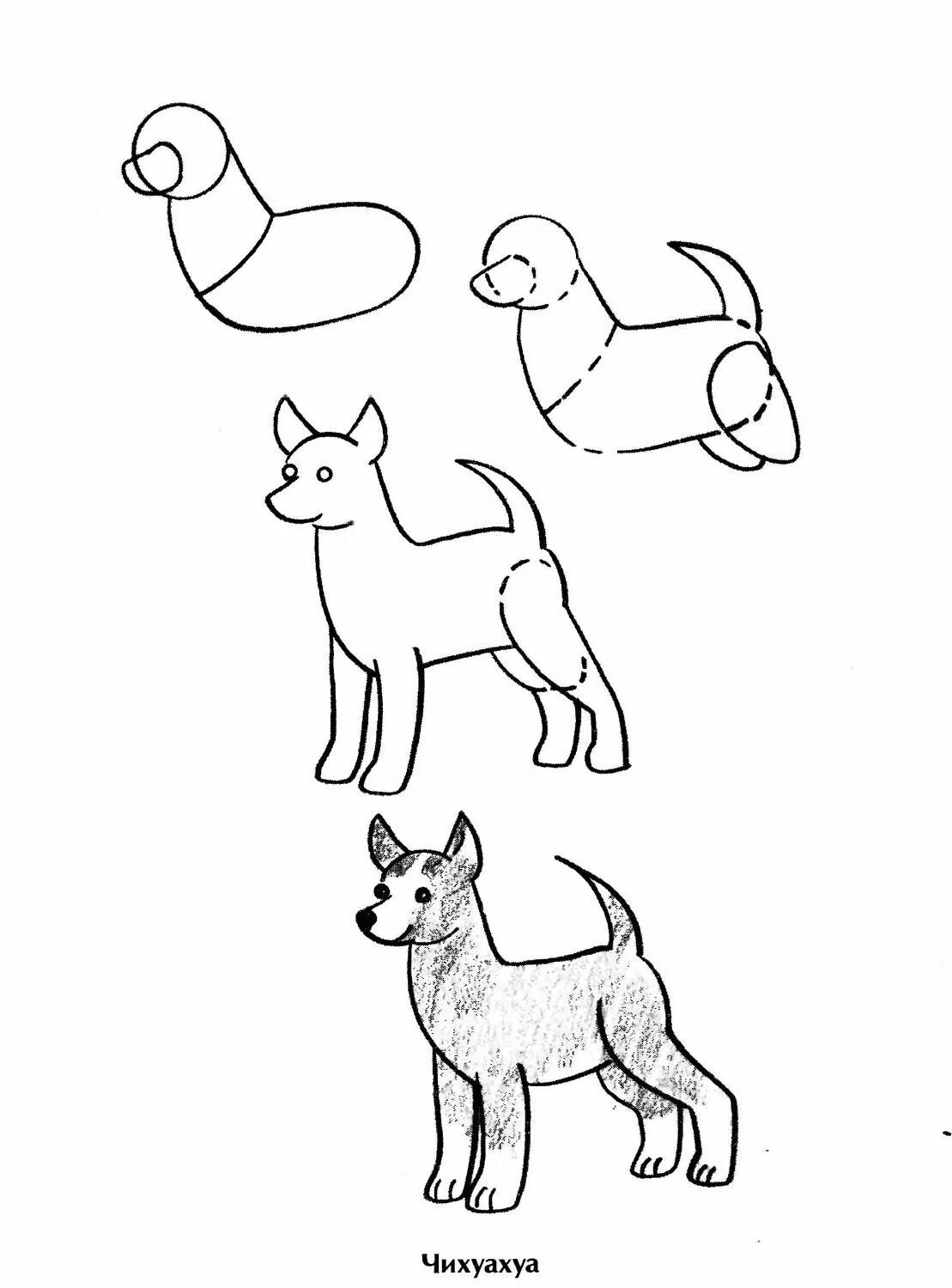 Как нарисовать пса. Поэтапное рисование собаки. Схема рисования собаки для дошкольников. Поэтапное рисование собаки для детей. Собака рисунок карандашом.