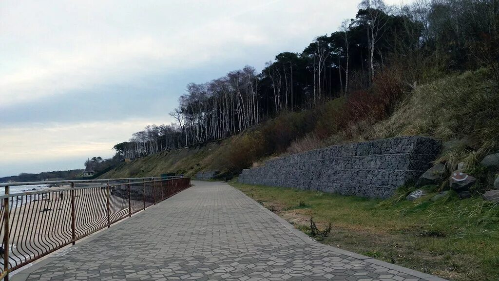 Сосновый бор пионерский. Сосновый бор пионерский. Третий бор пионерский. Парк сосновый бор в пионерском. Сосновый бор пионерский.